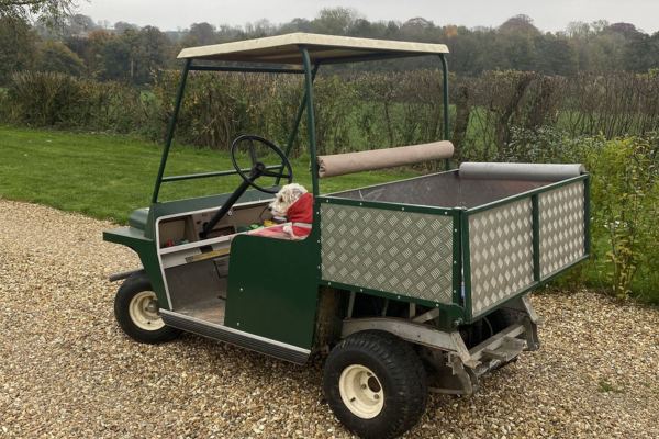 All-terrain vehicle for transporting luggage